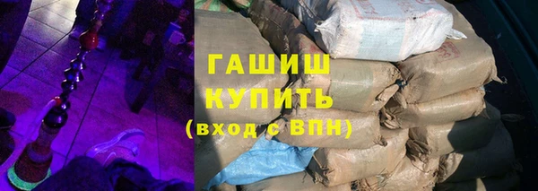 молекула духа Бородино