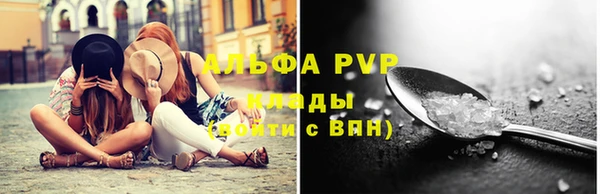 крисы Ельня