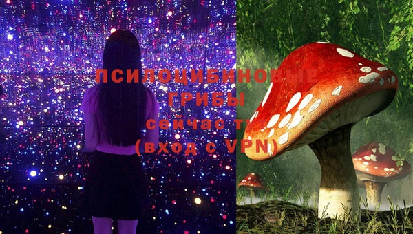 крисы Ельня
