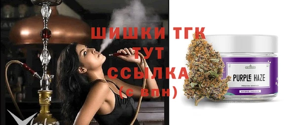 мяу мяу мука Гусь-Хрустальный