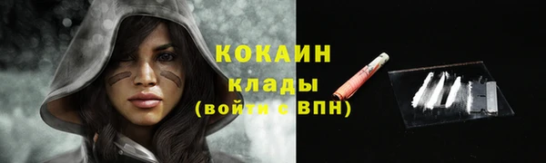 ПСИЛОЦИБИНОВЫЕ ГРИБЫ Елизово